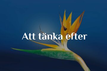 Att tänka efter