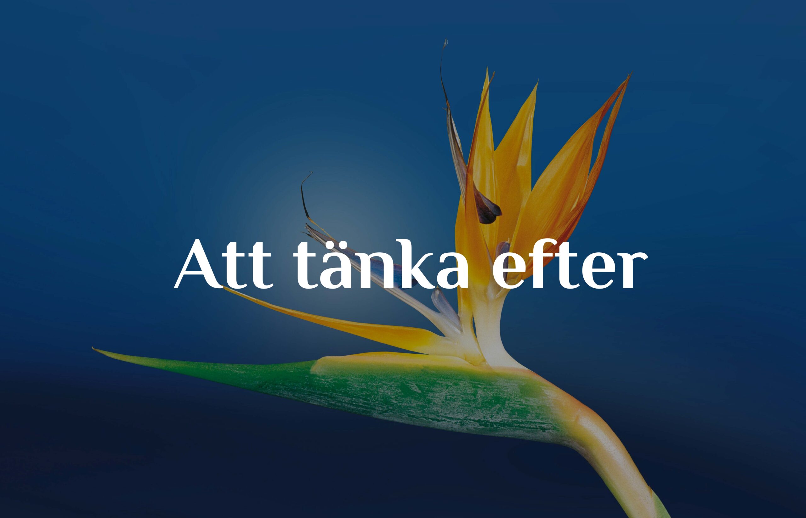 Att tänka efter