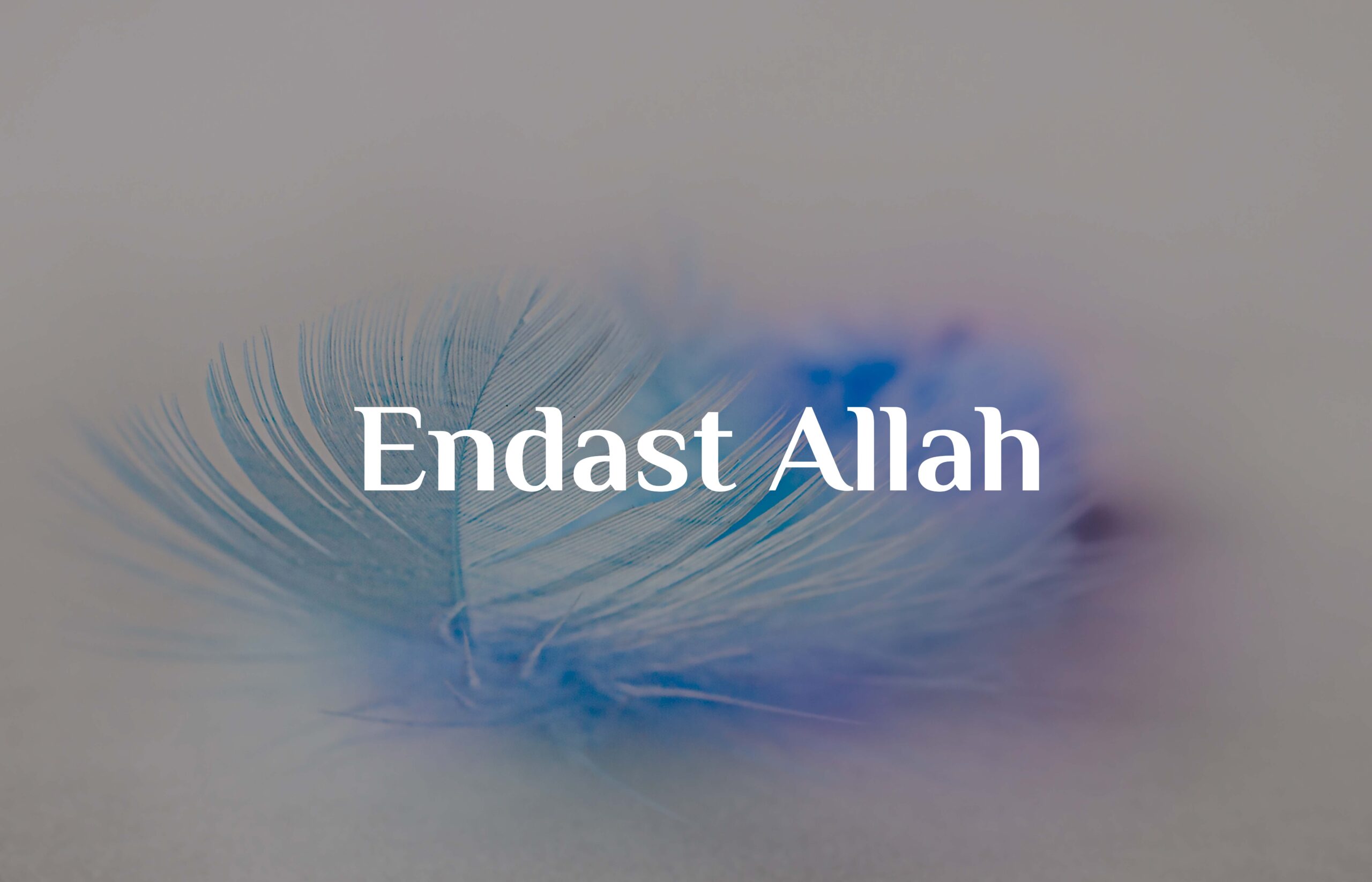 Endast Allah