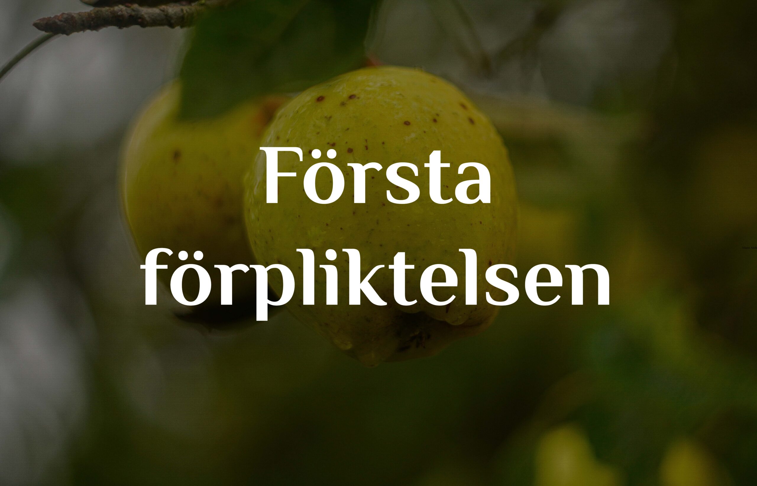 Första förpliktelsen som vilar på de skapade varelserna