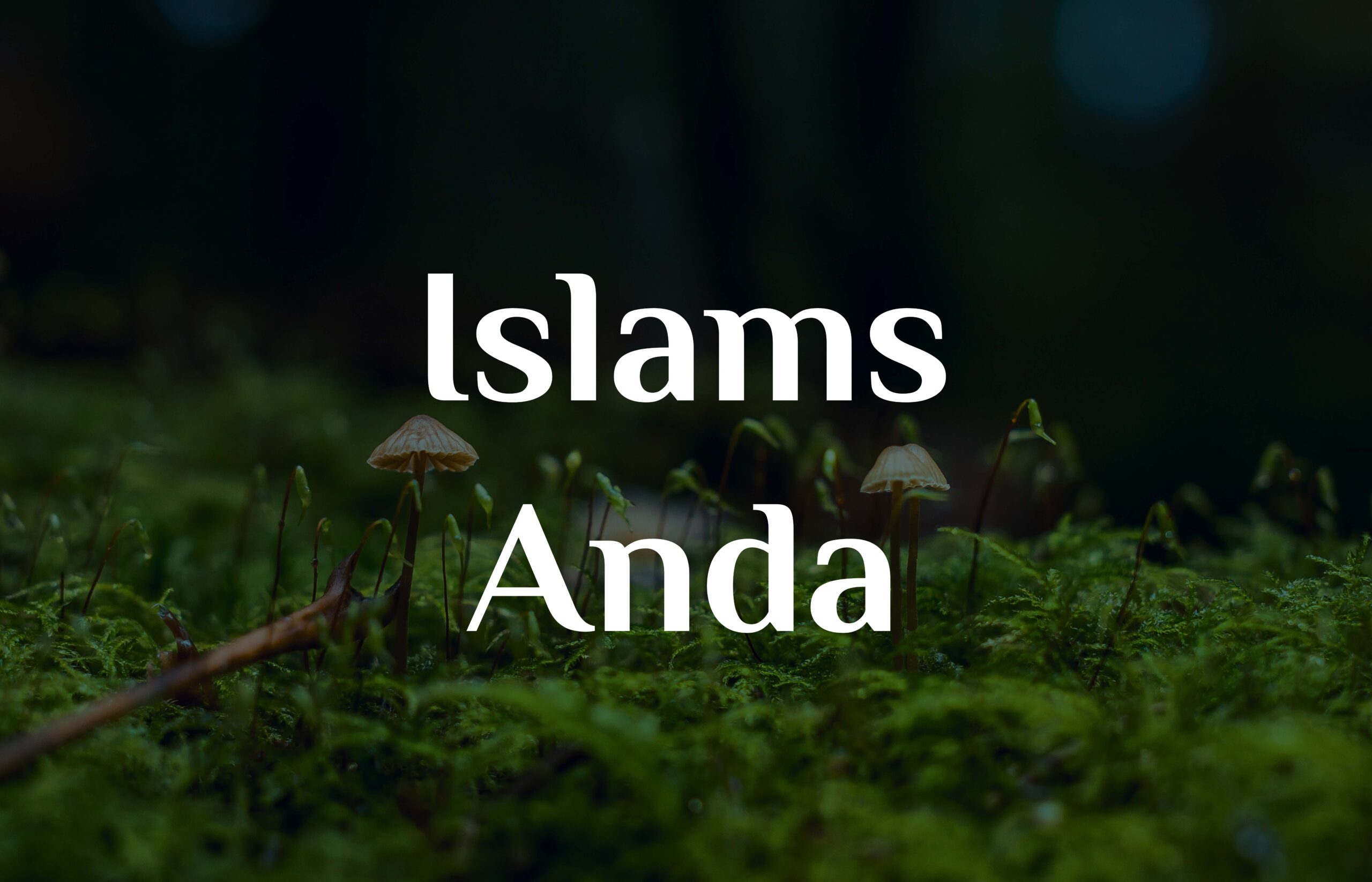 Islams Anda