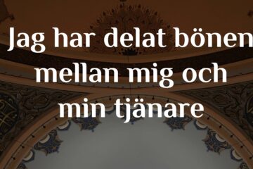 Jag har delat bönen mellan mig och min tjänare