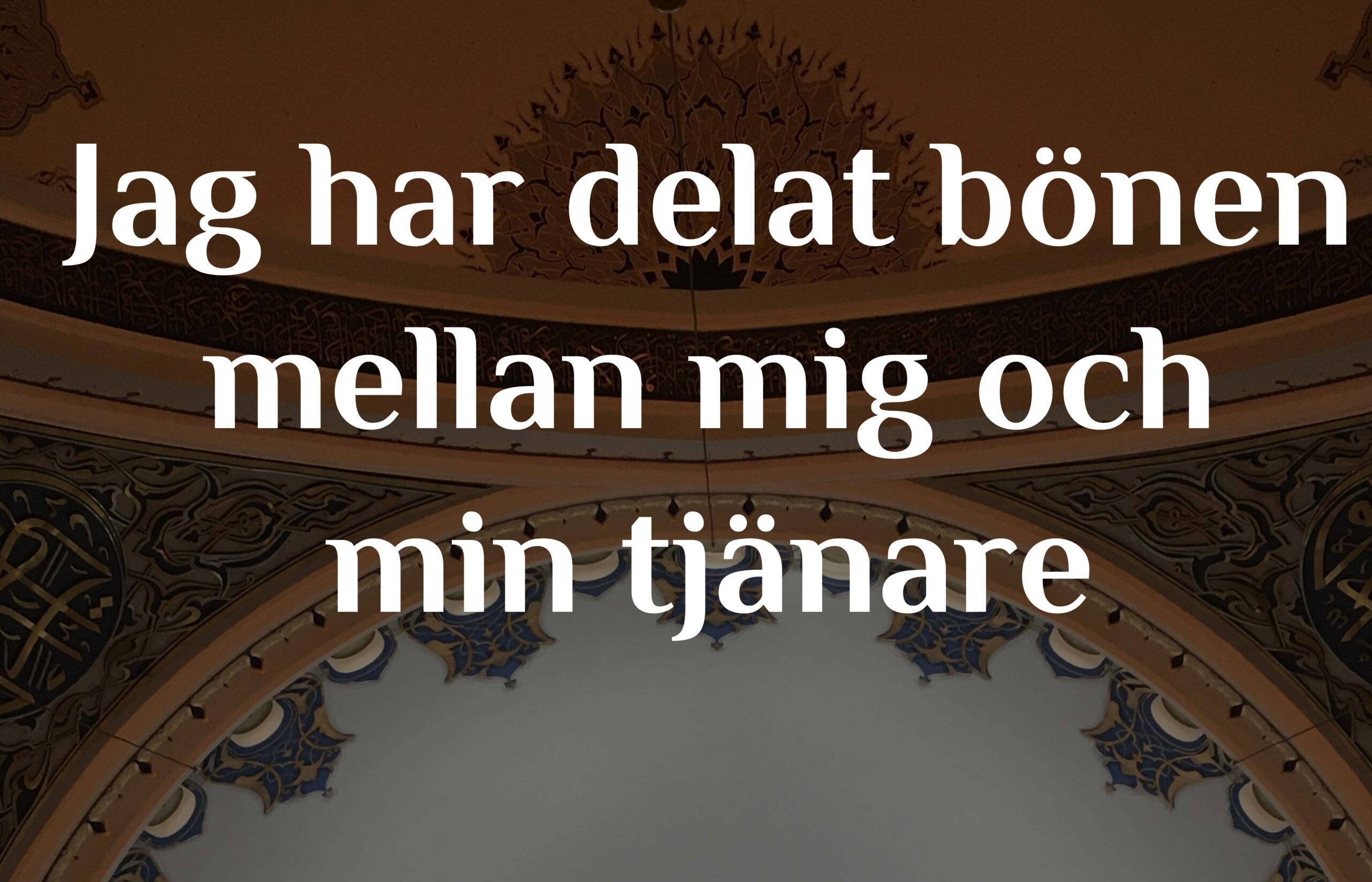Jag har delat bönen mellan mig och min tjänare