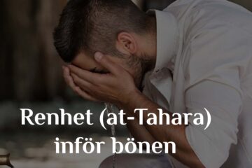 Renhet (at-Tahara) inför bönen