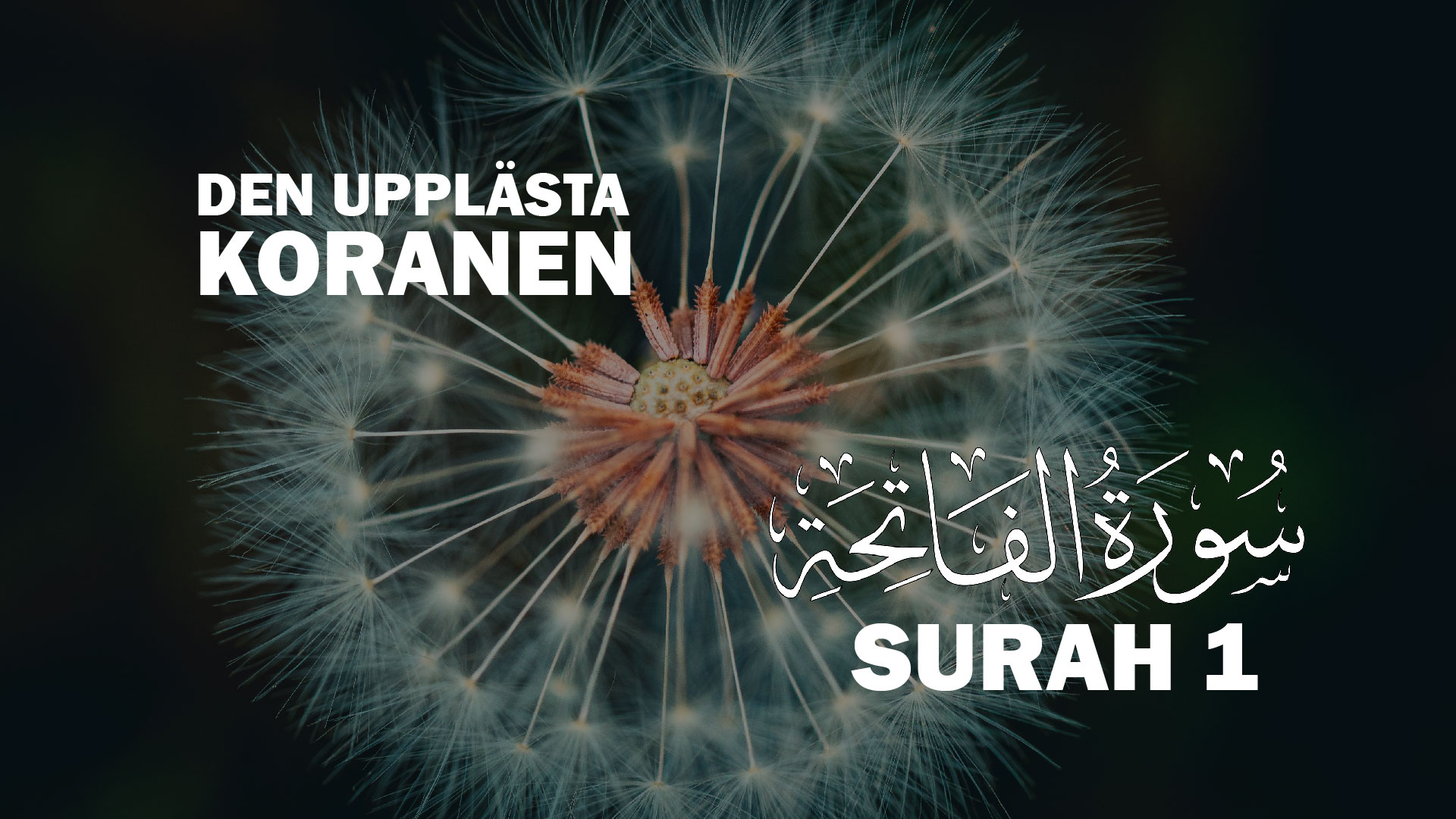 Koranen På Svenska Kapitel 1 al-Fatihah (Ingressen)