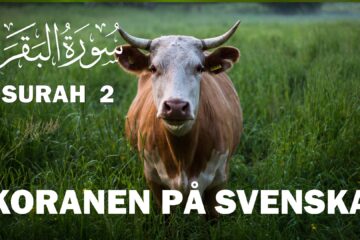 Koranen på svenska Kapitel 2 – Kon