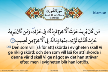 Koranen på svenska | Surah 42 | ash-Shura | Samråd