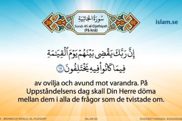 Koranen på svenska | Surah 45 | al-Djathiyah | På knä