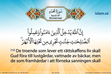 Koranen på svenska | Surah 47 | Muhammad