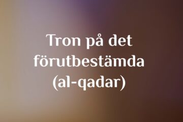 Tron på det förutbestämda (al-qadar)