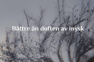 Bättre än doften av mysk