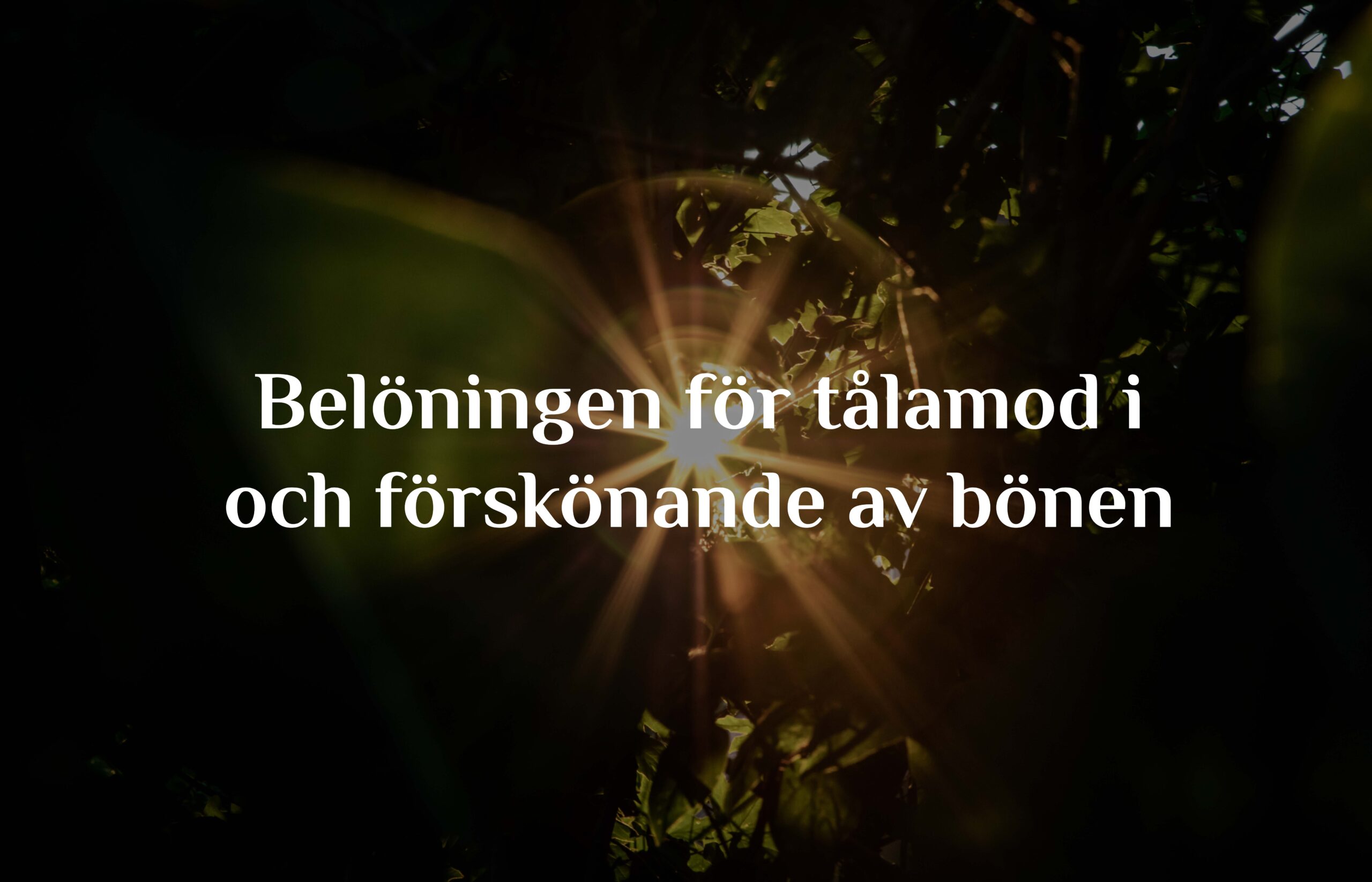 Belöningen för tålamod i och förskönande av bönen