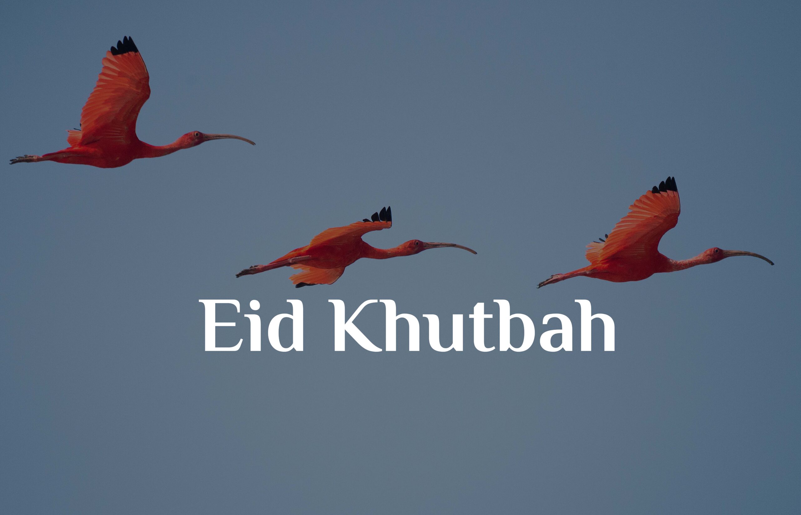 Eid Khutbah