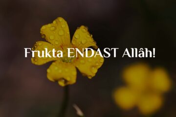Frukta ENDAST Allâh!