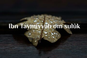 Ibn Taymiyyah om sulûk
