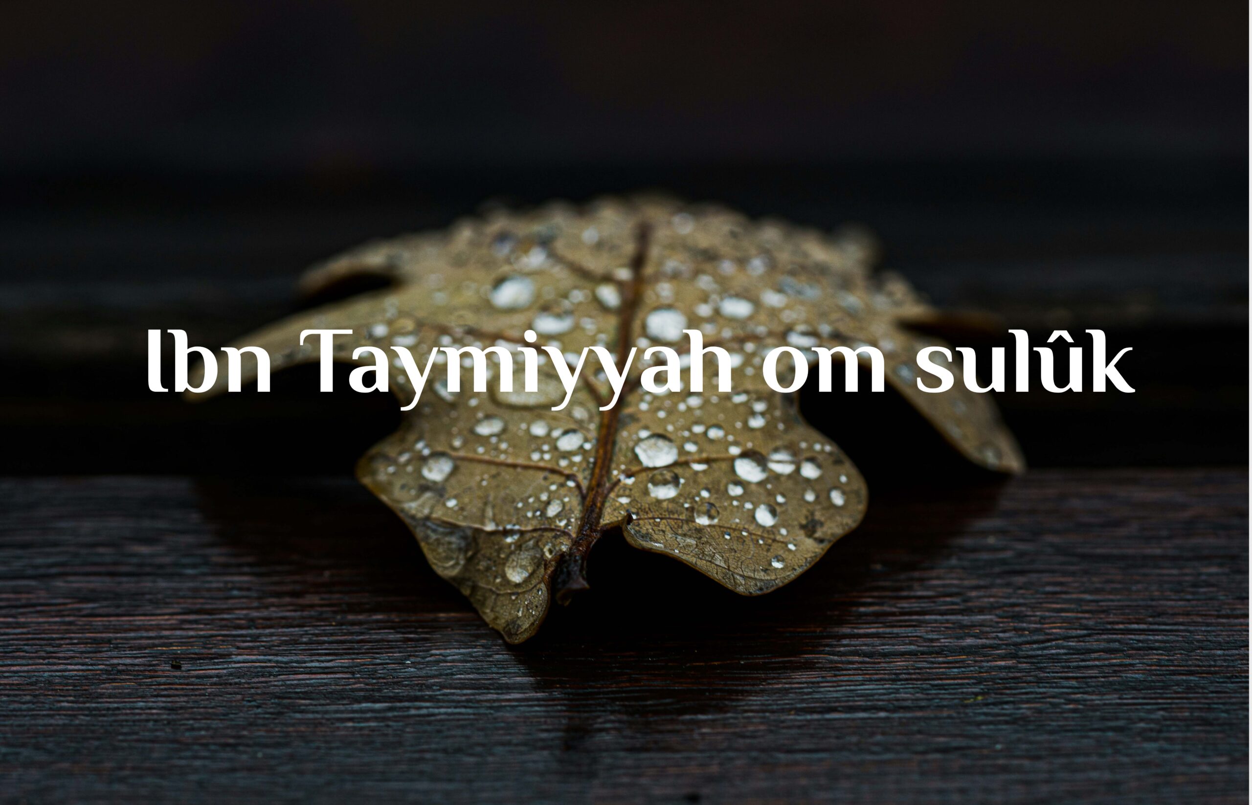 Ibn Taymiyyah om sulûk