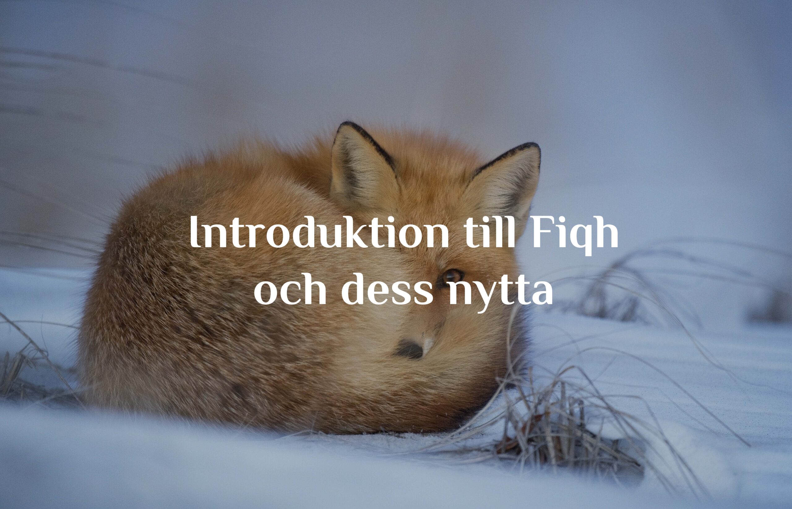 Introduktion till Fiqh och dess nytta