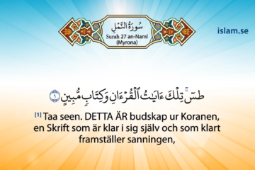 Koranen på svenska | Surah 27 | an-Naml | Myrorna