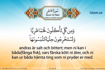 Koranen på svenska | Surah 35 | Fatir | Himlarnas och jordens skapare