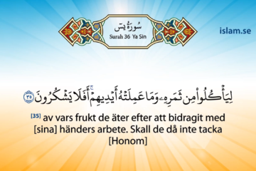 Koranen på svenska | Surah 36 | Ya Sin