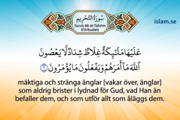 Koranen på svenska | Surah 66 | at-Tahrim | Förbudet