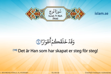 Koranen på svenska | Surah 71 | Nuh | Noa