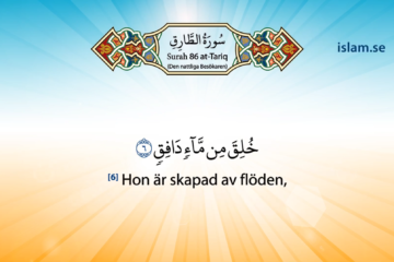 Koranen på svenska | Surah 86 | at-Tariq | Den nattliga Besökaren