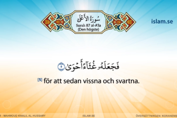 Koranen på svenska | Surah 87 | al-A’la | Den högste