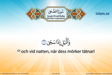 Koranen på svenska | Surah | 93 | ad-Duha | Det klara morgonljuset