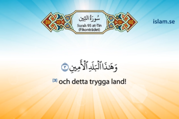 Koranen på svenska | Surah 95 | at-Tin | Fikonträdet