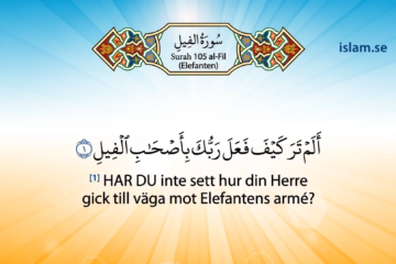 Koranen på svenska | Surah 105 | al-Fil | Elefanten