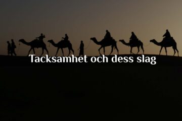 Tacksamhet och dess slag