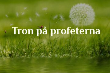 Tron på profeterna