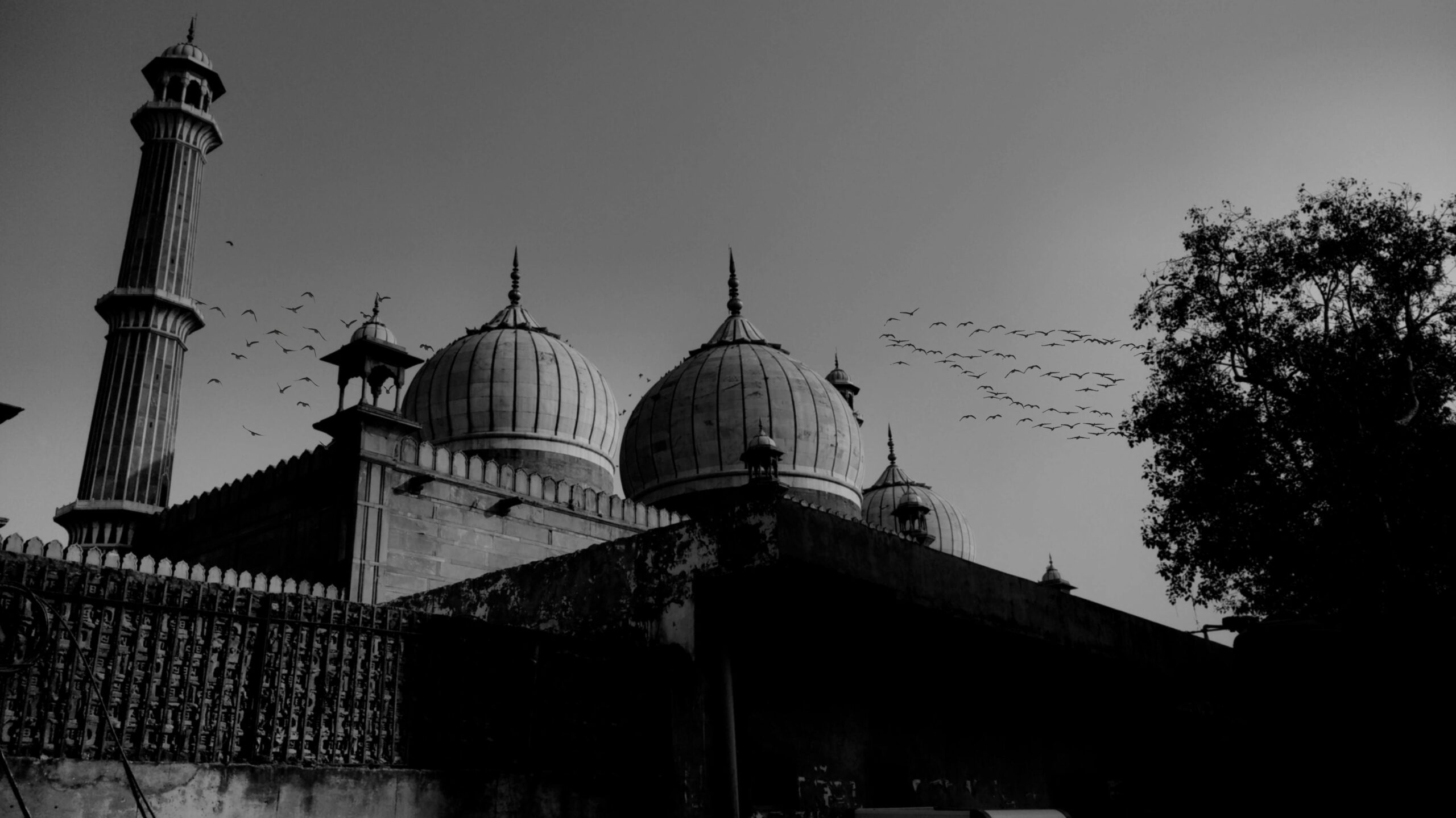 ALLAHS VÄSEN RELATERADE ATTRIBUT FRÅN SUNNAH